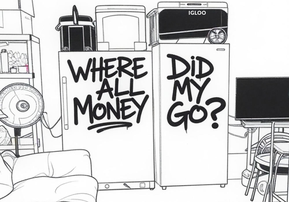 WHERE-DID-ALL-MY-MONEY-GO-